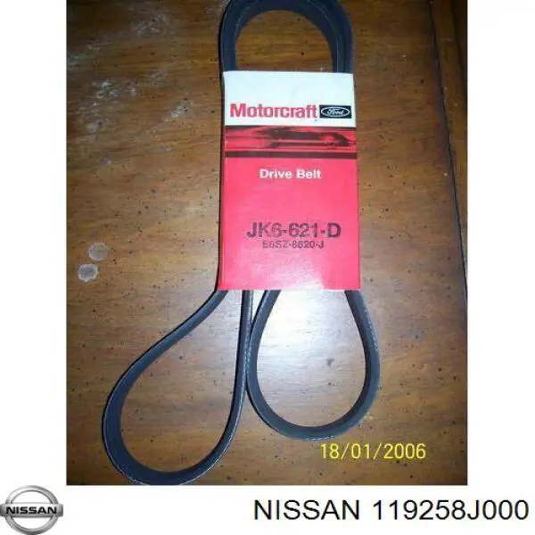 Comprar Polea inversión / guía, correa poli V Nissan Altima L31 