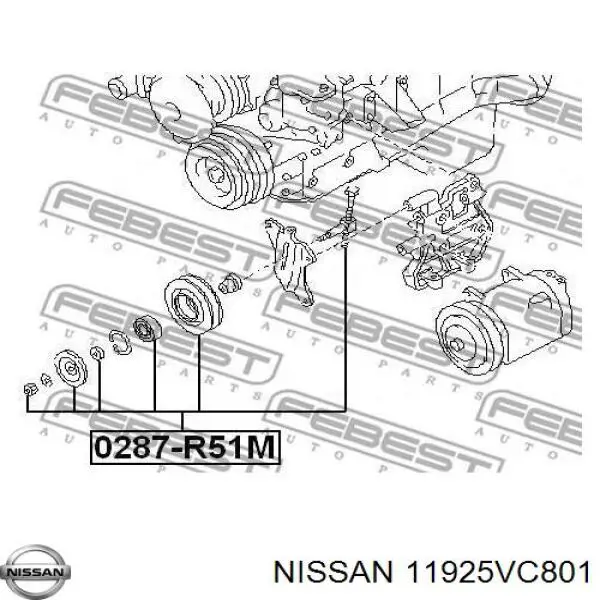 11925VC801 Nissan rodillo, correa trapecial poli v