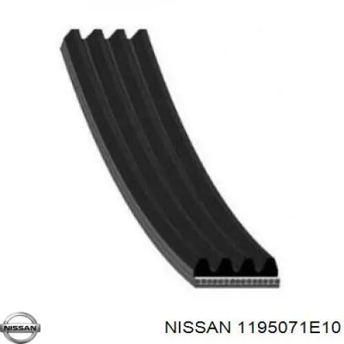 1195071E10 Nissan correa trapezoidal