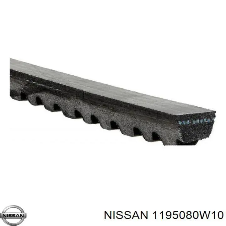 1195080W10 Nissan correa trapezoidal