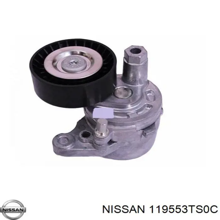 119553TS0C Nissan