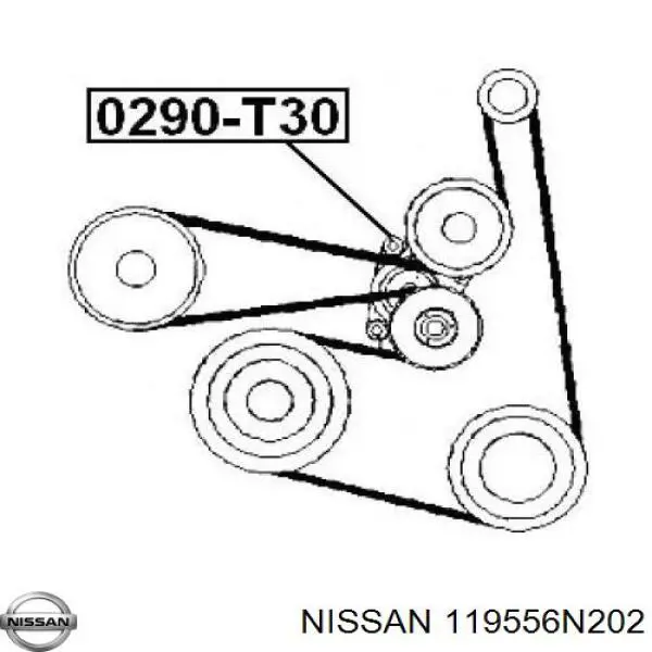 Tensor de correa poli V 119556N202 Nissan/Infiniti