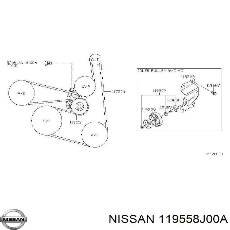 119558J00A Nissan tensor de correa, correa poli v