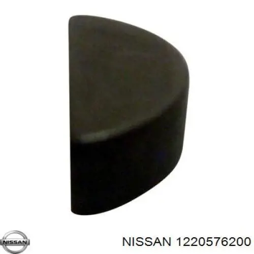 1220576200 Nissan