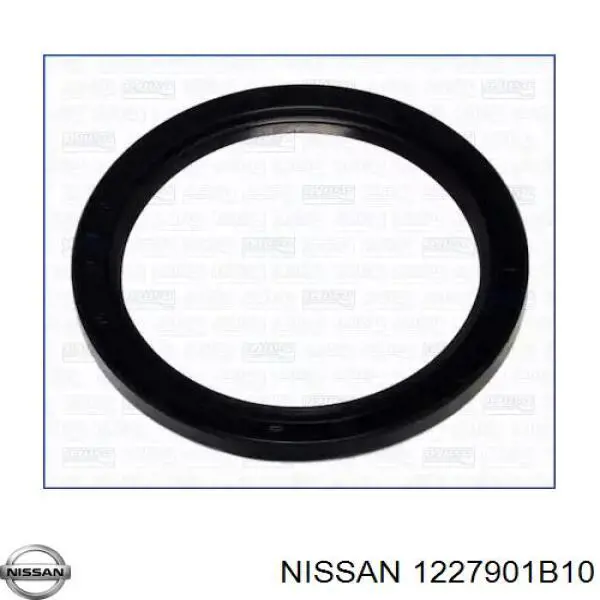 1227901B10 Nissan