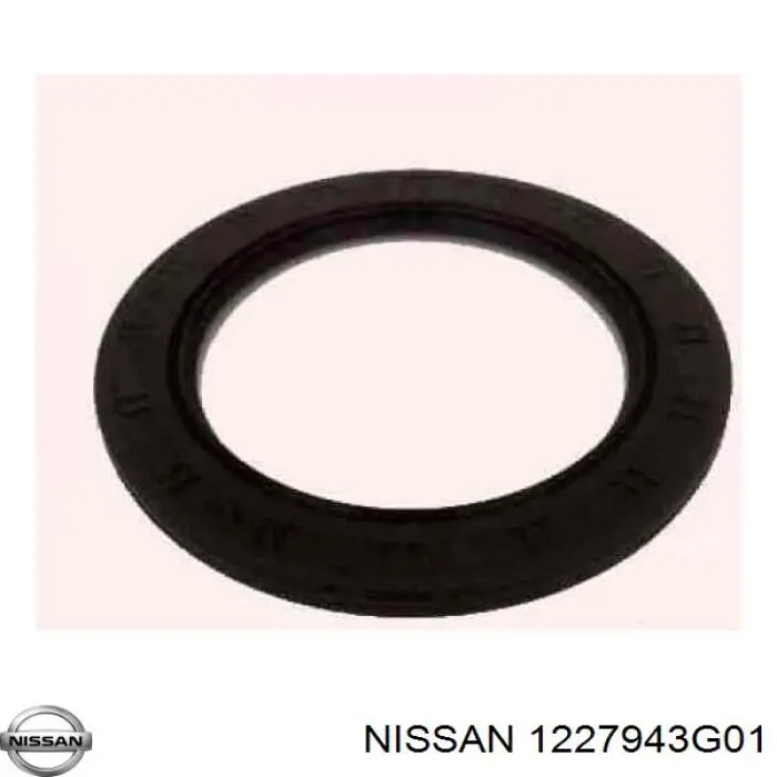 1227943G01 Nissan