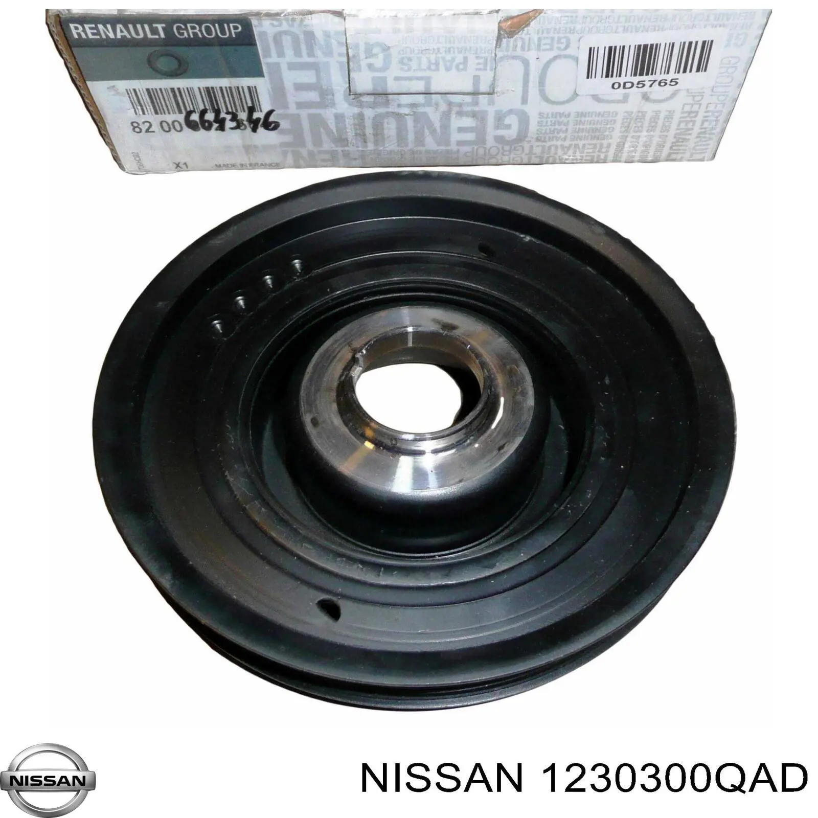 1230300QAD Nissan/Infiniti Dámper