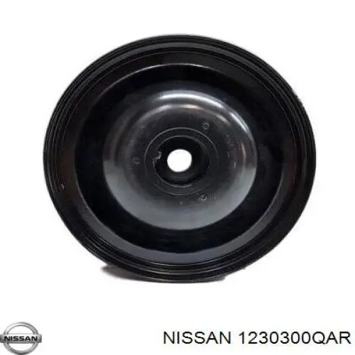 1230300QAR Nissan/Infiniti Dámper