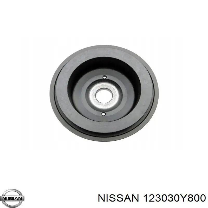 Polea dámper Japan Parts PU118