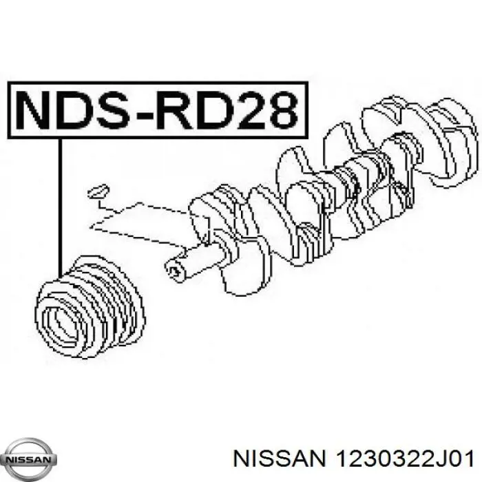 1230322J01 Nissan