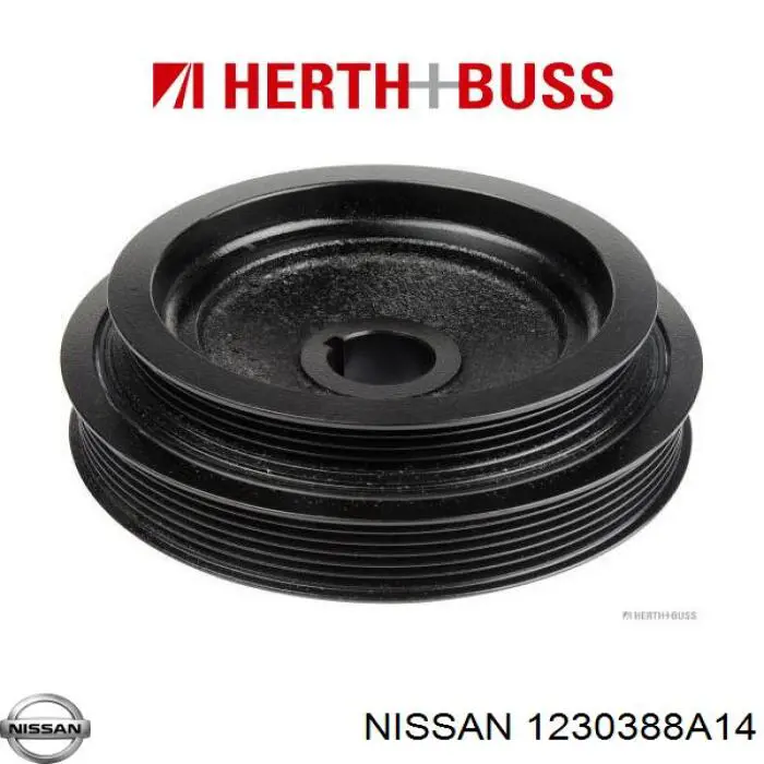 Comprar 1230355Y00 Nissan/Infiniti La polea del cigüeñal