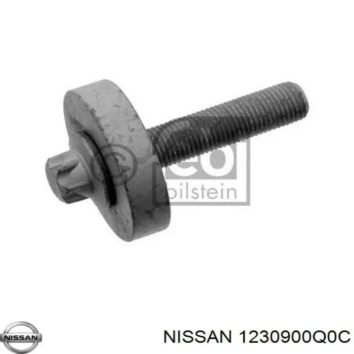 1230900Q0C Nissan