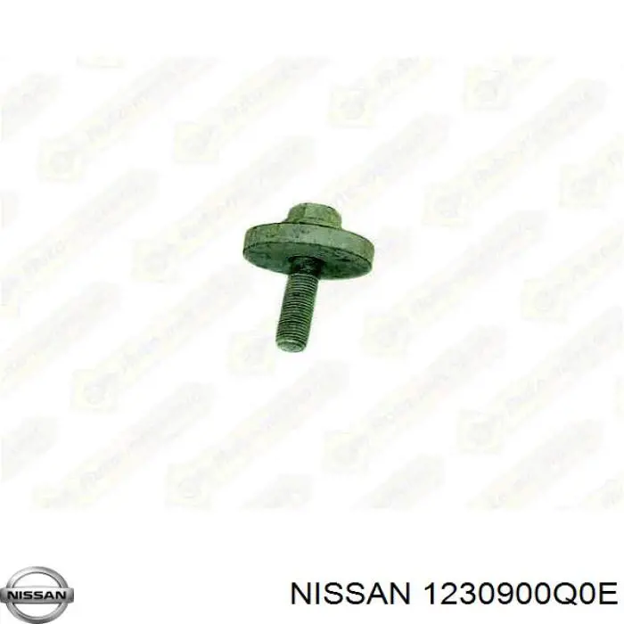 Perno de la polea del cigüeñal Nissan/Infiniti 12309BN700 precio, desde 17,84 EUR