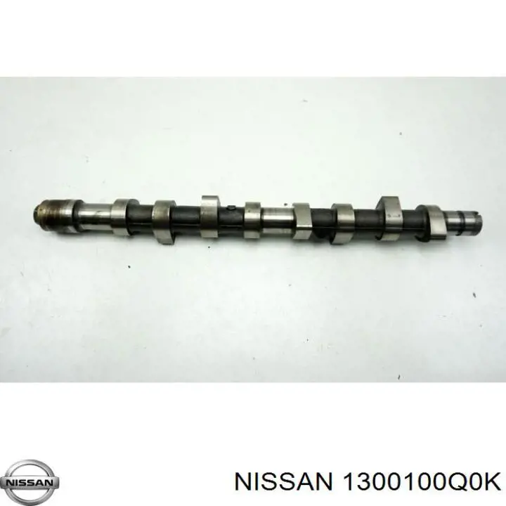 1300100Q0K Nissan