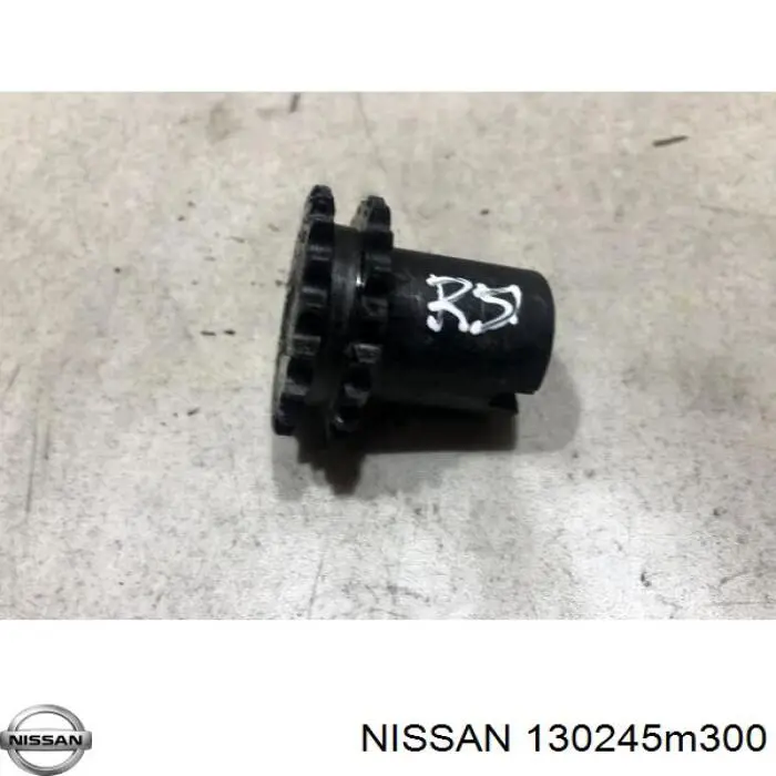 Piñón cadena distribución NISSAN 130245M300