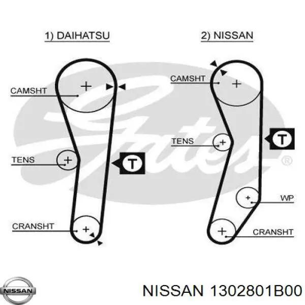 1302801B00 Nissan correa distribución