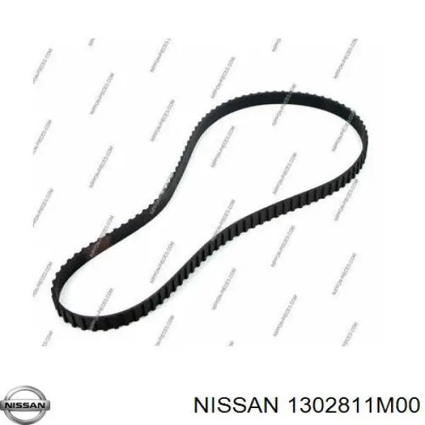 1302811M00 Nissan/Infiniti Correa dentada