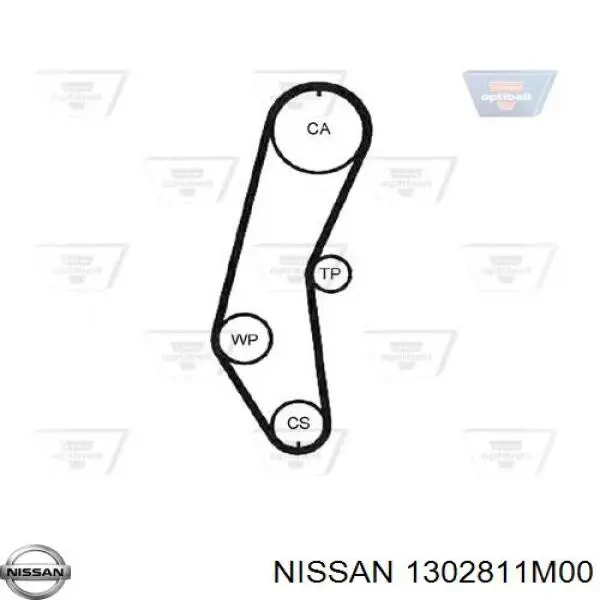 Correa distribución 1302811M00 Nissan/Infiniti