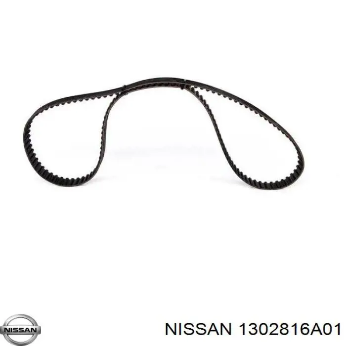 1302816A01 Nissan correa distribucion
