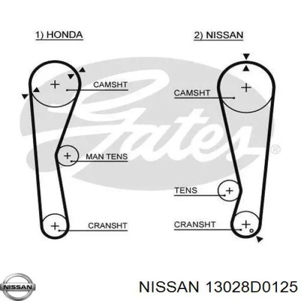 13028D0125 Nissan correa distribucion