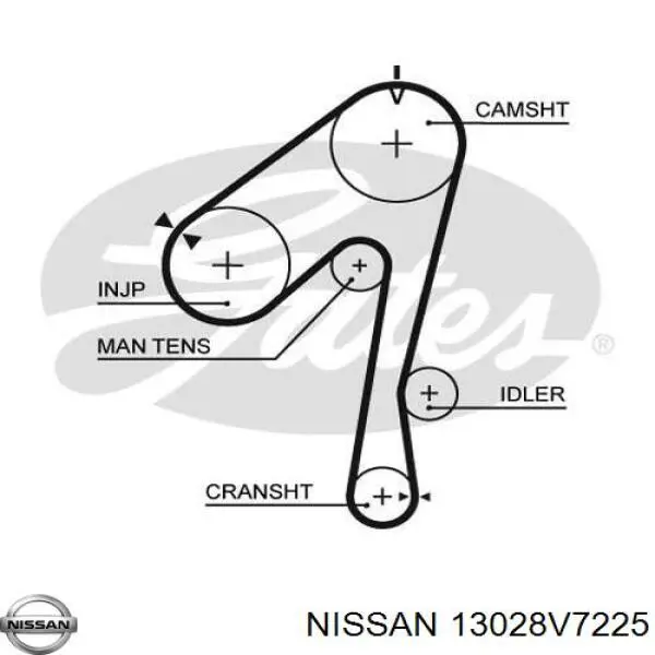 13028V7225 Nissan correa distribución