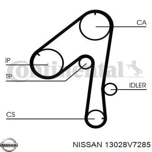 13028V7211 Nissan correa distribución