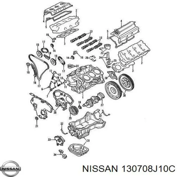 Tensor de cadena de distribución derecho para Nissan Teana (J31)