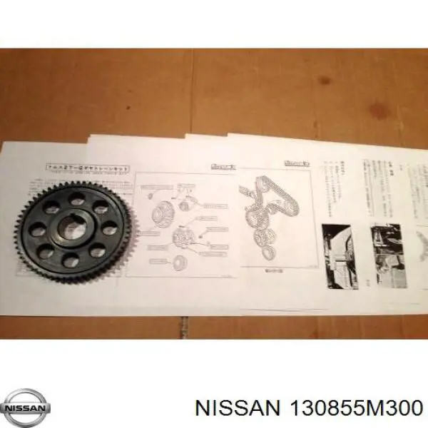 13085EB30A Nissan carril de deslizamiento, cadena de distribución, culata superior