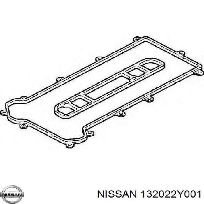 132022Y001 Nissan/Infiniti Válvula de escape