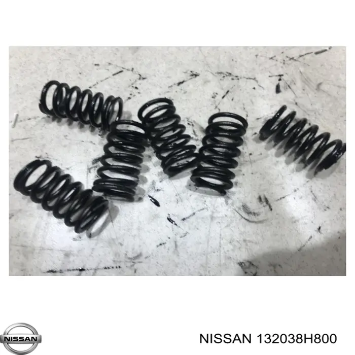  Nissan/Infiniti 132038H800 precio, desde 22,60 EUR