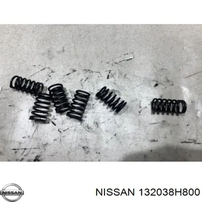 Comprar 132038H800 Nissan/Infiniti 