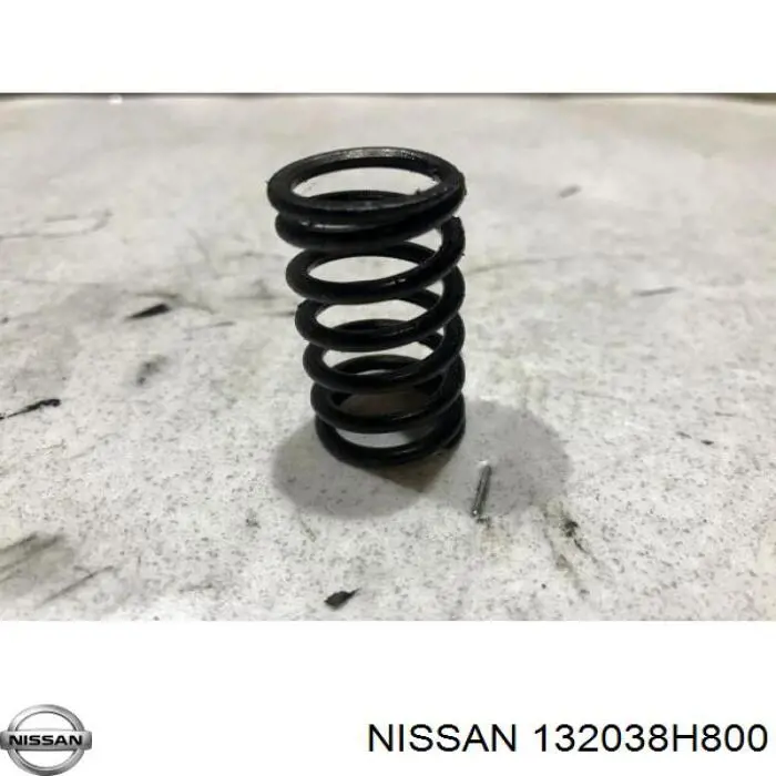 132038H800 Nissan