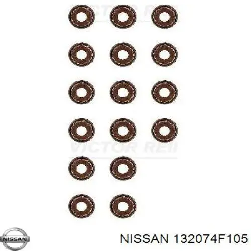 Sello De Aceite De Valvula (Rascador De Aceite) Entrada/Salida para Nissan Sunny (N14)