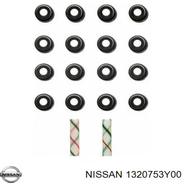 1320753Y00 Nissan sello de aceite de valvula (rascador de aceite Entrada/Salida)