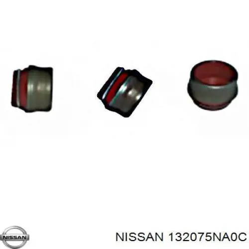 132075NA0C Nissan