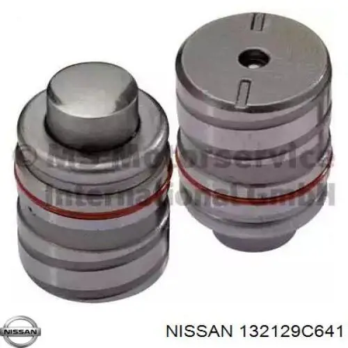 Guía de válvula para Nissan Cabstar (TL, VL)