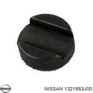 1321853J00 Nissan