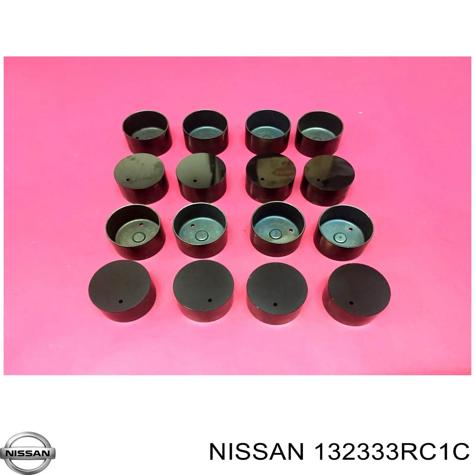 132333RC1C Nissan/Infiniti Taqués de motor