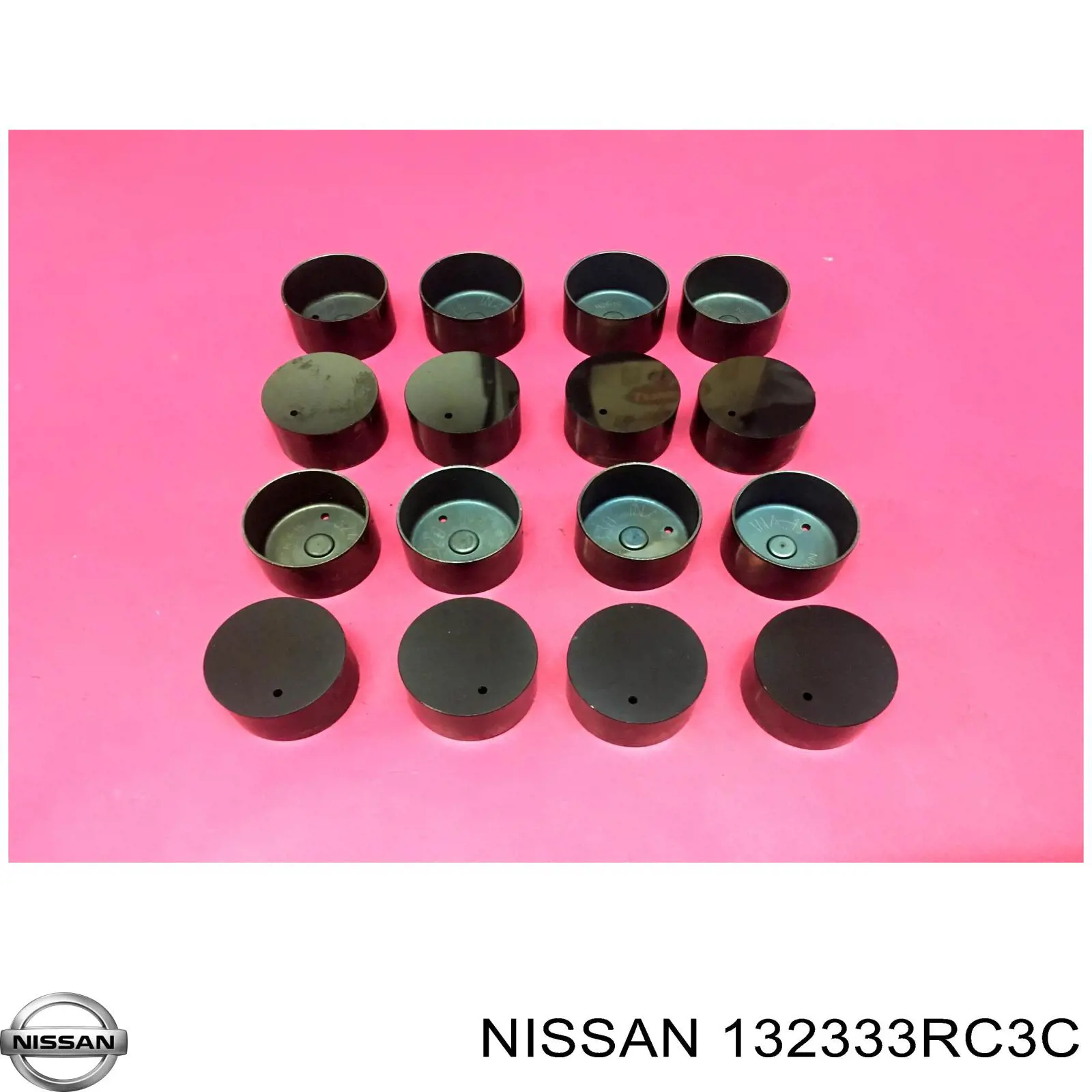 132333RC3C Nissan/Infiniti Taqués de motor