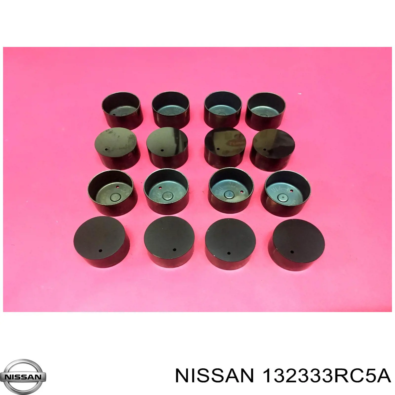 132333RC5A Nissan/Infiniti Taqués de motor