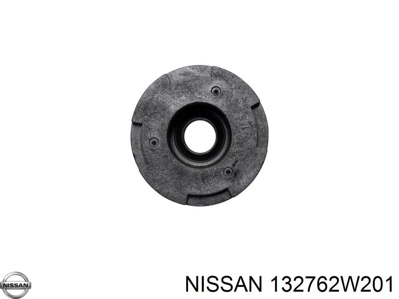 Junta anular, cavidad bujía para Nissan Terrano (R20)