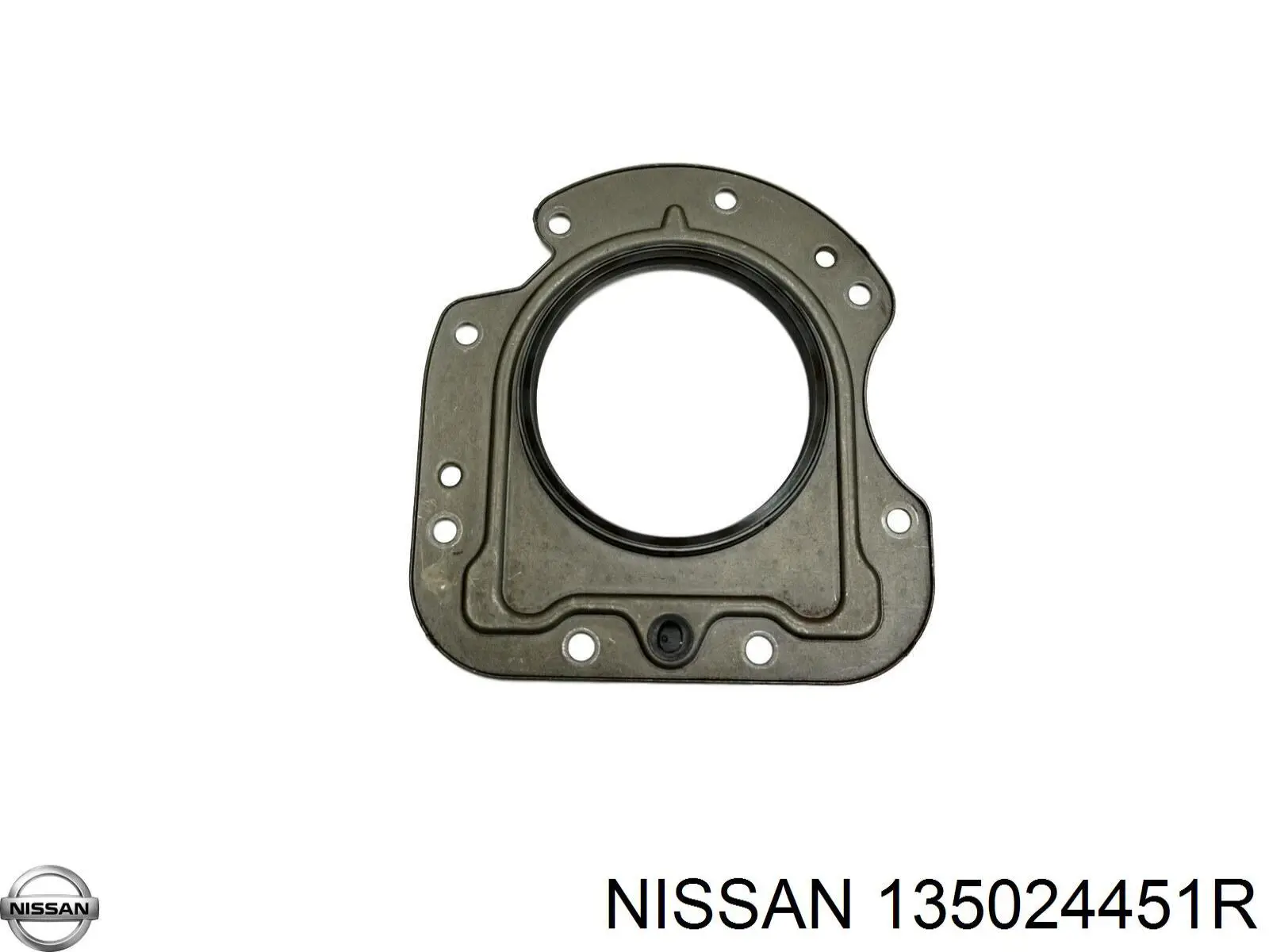 Cubierta interior de la correa de distribución STC T435087 precio, desde 32,20 EUR
