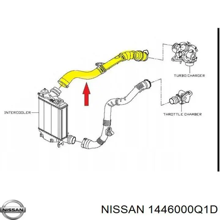 1446000Q1D Nissan