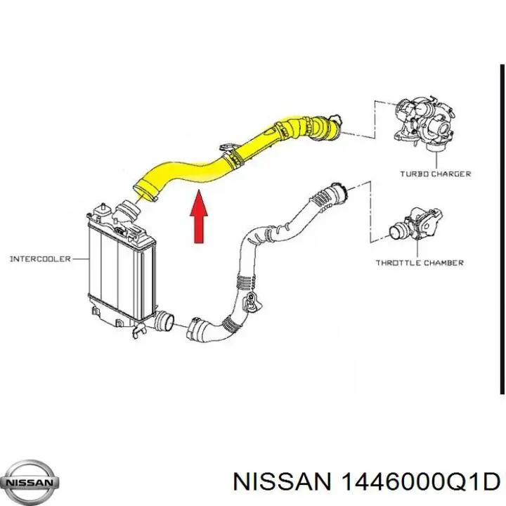 Junta tórica del tubo del intercooler Nissan/Infiniti 1446000Q1D precio, desde 15,08 EUR