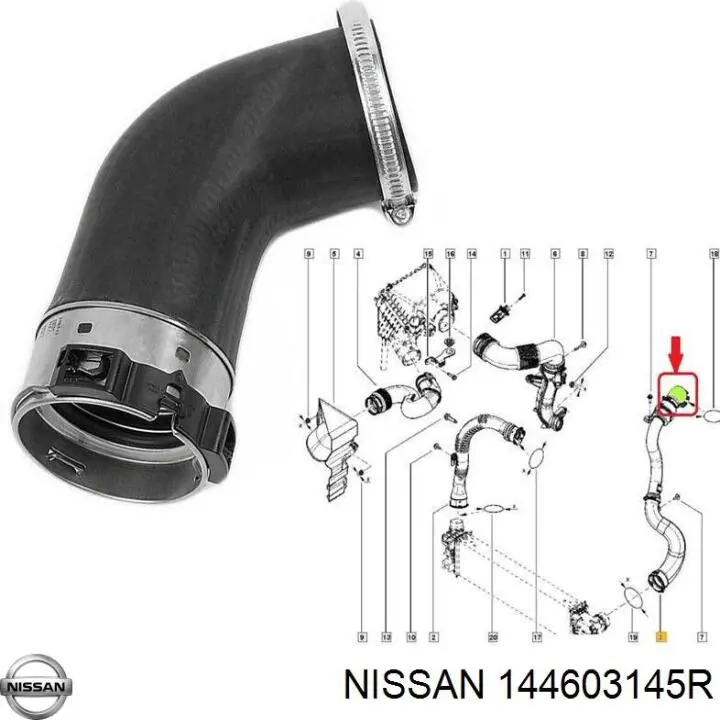 144603145R Nissan/Infiniti Manguera del intercooler