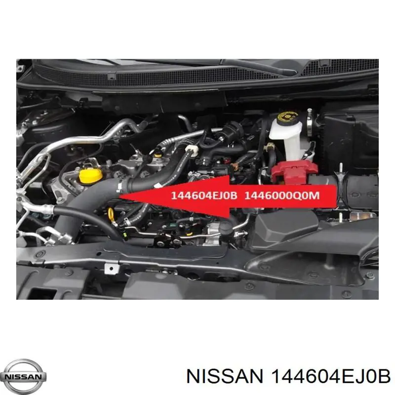Tubo intercooler GPPNS048 NTY