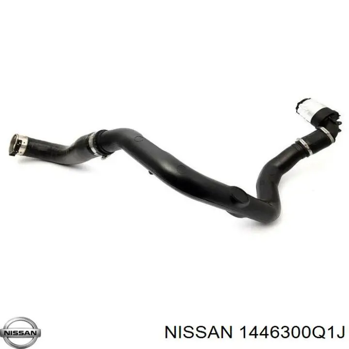 1446300Q1J Nissan