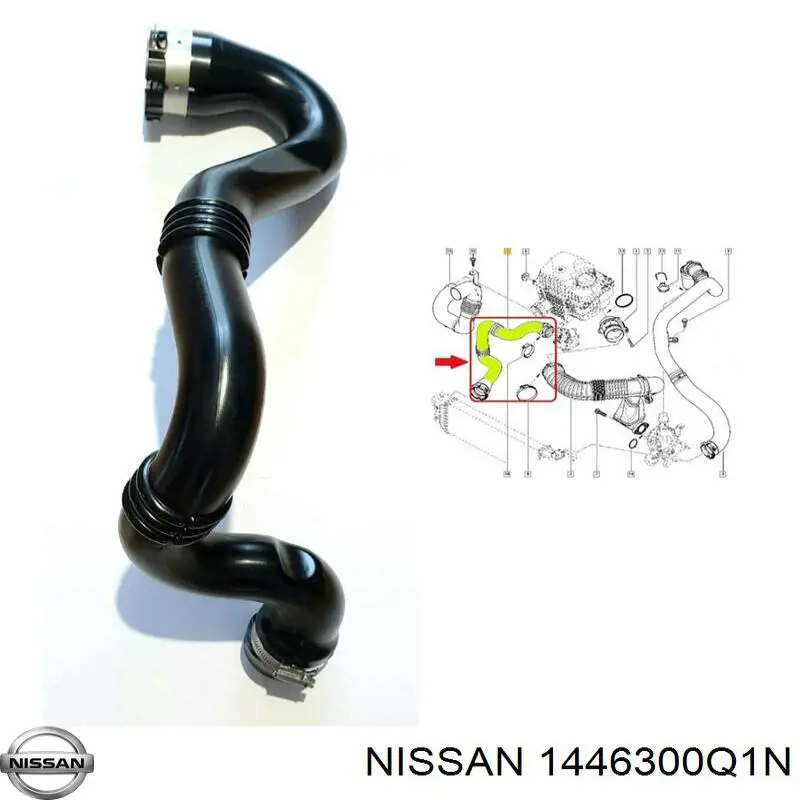 1446300Q1M Nissan tubo flexible de aire de sobrealimentación derecho