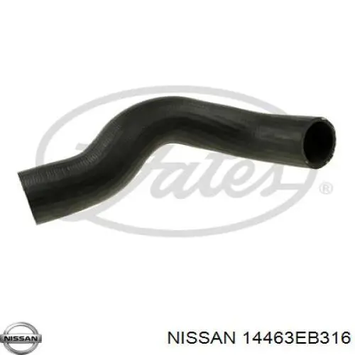 14463EB316 Nissan tubo flexible de aire de sobrealimentación derecho