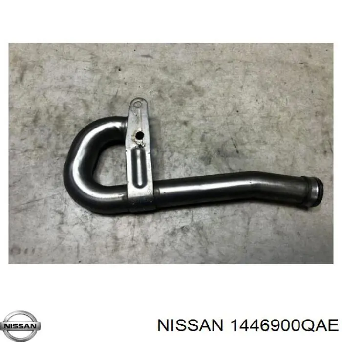 1446900QAE Nissan